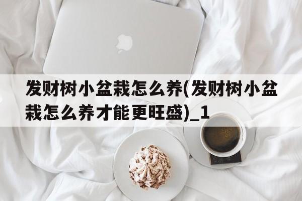 发财树小盆栽怎么养(发财树小盆栽怎么养才能更旺盛)_1