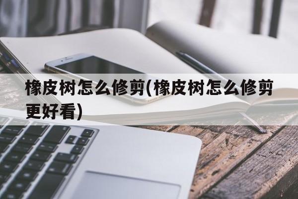 橡皮树怎么修剪(橡皮树怎么修剪更好看)