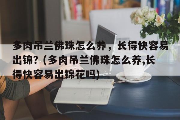 多肉吊兰佛珠怎么养，长得快容易出锦？(多肉吊兰佛珠怎么养,长得快容易出锦花吗)