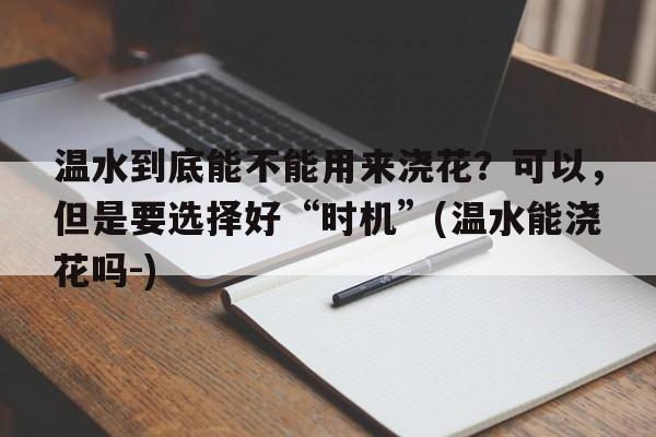 温水到底能不能用来浇花？可以，但是要选择好“时机”(温水能浇花吗-)