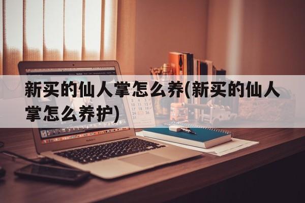 新买的仙人掌怎么养(新买的仙人掌怎么养护)