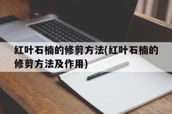 红叶石楠的修剪方法(红叶石楠的修剪方法及作用)