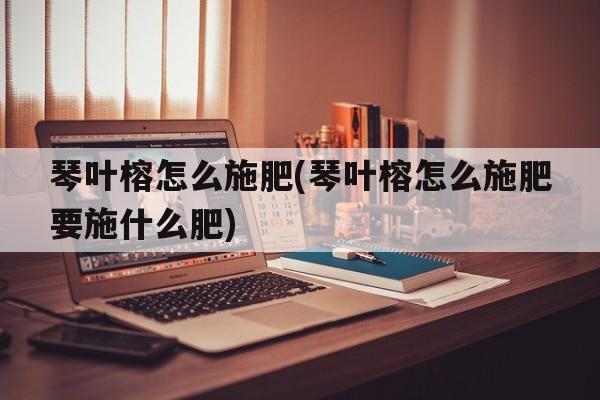 琴叶榕怎么施肥(琴叶榕怎么施肥要施什么肥)