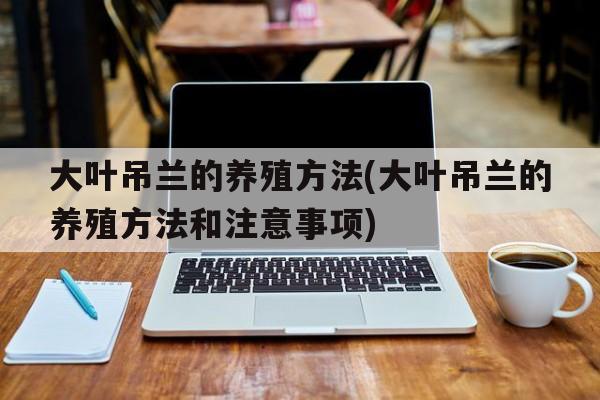 大叶吊兰的养殖方法(大叶吊兰的养殖方法和注意事项)