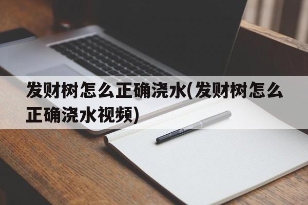 发财树怎么正确浇水(发财树怎么正确浇水视频)