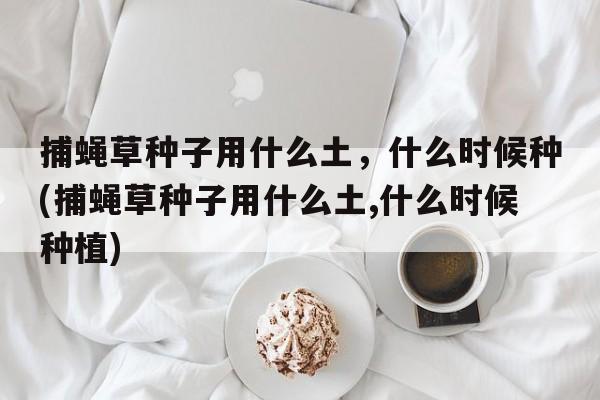 捕蝇草种子用什么土，什么时候种(捕蝇草种子用什么土,什么时候种植)