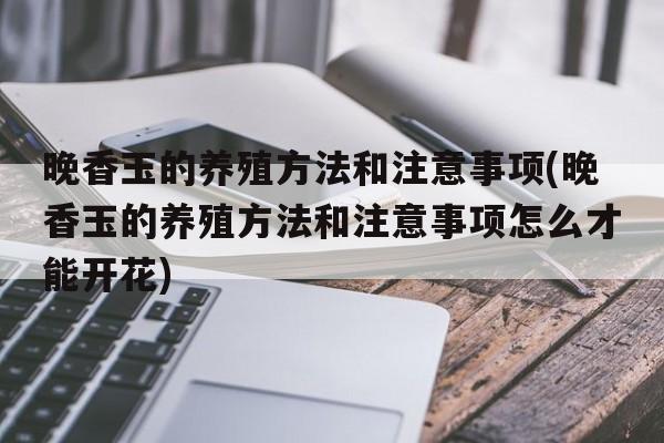 晚香玉的养殖方法和注意事项(晚香玉的养殖方法和注意事项怎么才能开花)