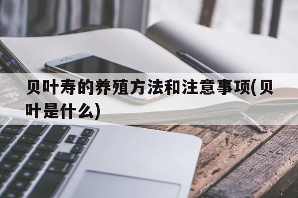 贝叶寿的养殖方法和注意事项(贝叶是什么)