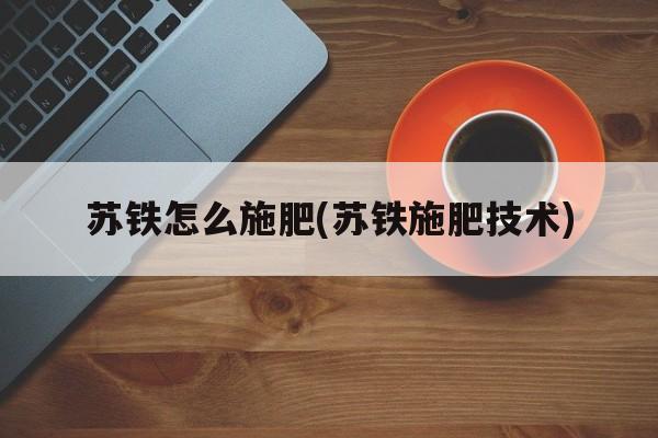 苏铁怎么施肥(苏铁施肥技术)