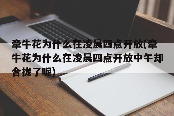 牵牛花为什么在凌晨四点开放(牵牛花为什么在凌晨四点开放中午却合拢了呢)