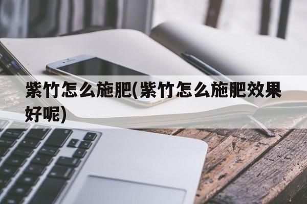 紫竹怎么施肥(紫竹怎么施肥效果好呢)