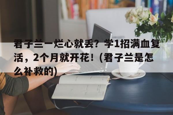 君子兰一烂心就丢？学1招满血复活，2个月就开花！(君子兰是怎么补救的)