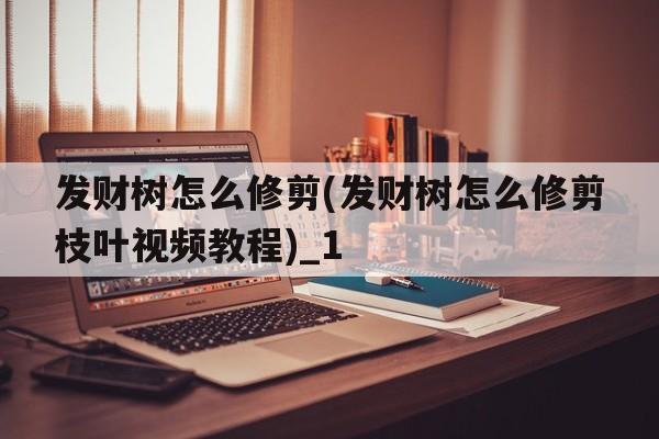 发财树怎么修剪(发财树怎么修剪枝叶视频教程)_1