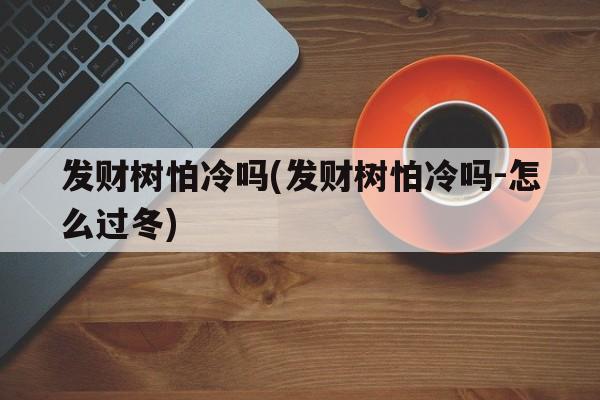 发财树怕冷吗(发财树怕冷吗-怎么过冬)