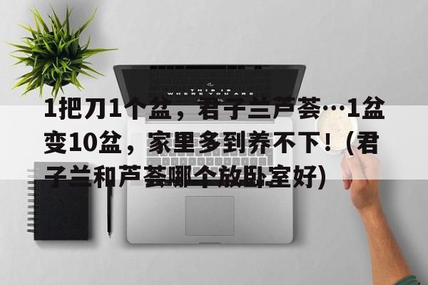 1把刀1个盆，君子兰芦荟…1盆变10盆，家里多到养不下！(君子兰和芦荟哪个放卧室好)