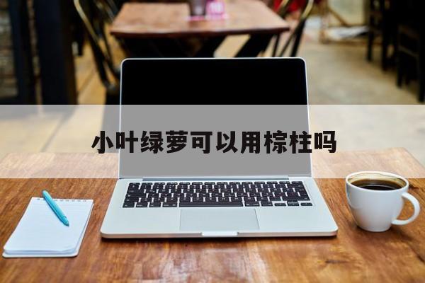 小叶绿萝可以用棕柱吗