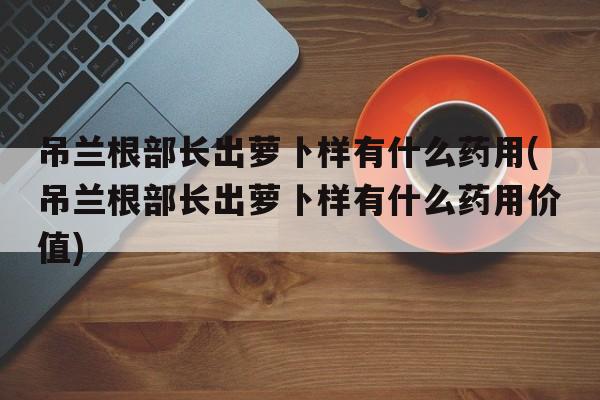 吊兰根部长出萝卜样有什么药用(吊兰根部长出萝卜样有什么药用价值)