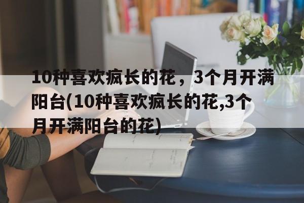 10种喜欢疯长的花，3个月开满阳台(10种喜欢疯长的花,3个月开满阳台的花)