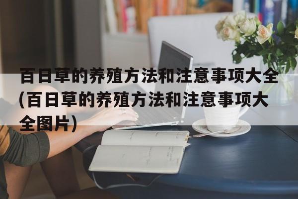 百日草的养殖方法和注意事项大全(百日草的养殖方法和注意事项大全图片)