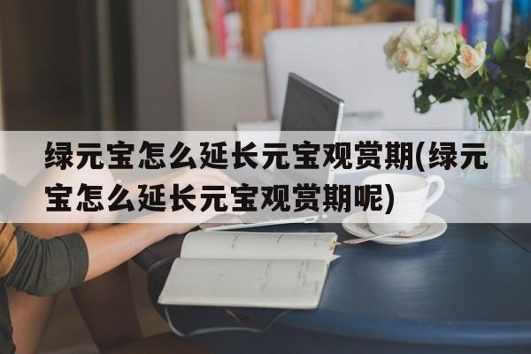 绿元宝怎么延长元宝观赏期(绿元宝怎么延长元宝观赏期呢)