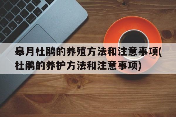 皋月杜鹃的养殖方法和注意事项(杜鹃的养护方法和注意事项)