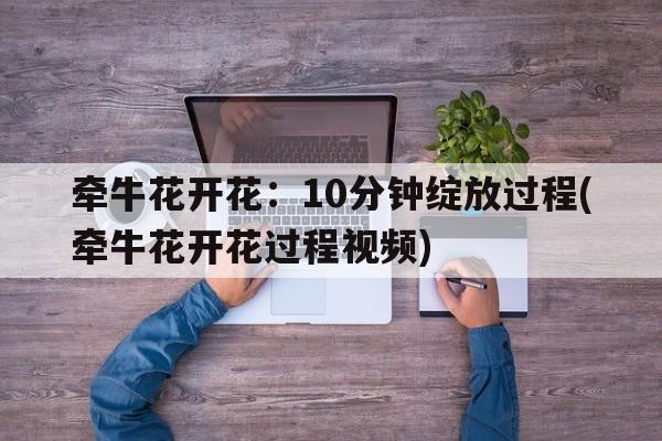 牵牛花开花：10分钟绽放过程(牵牛花开花过程视频)