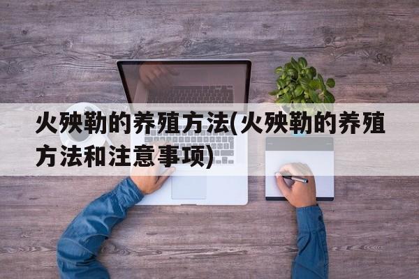 火殃勒的养殖方法(火殃勒的养殖方法和注意事项)