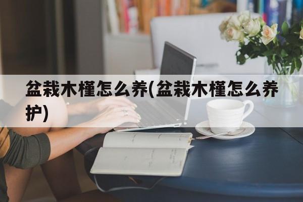 盆栽木槿怎么养(盆栽木槿怎么养护)