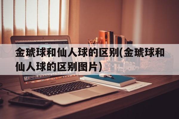 金琥球和仙人球的区别(金琥球和仙人球的区别图片)