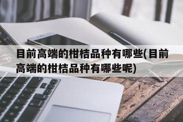 目前高端的柑桔品种有哪些(目前高端的柑桔品种有哪些呢)