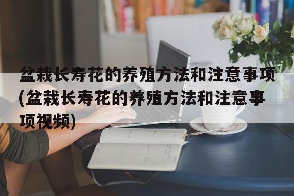 盆栽长寿花的养殖方法和注意事项(盆栽长寿花的养殖方法和注意事项视频)