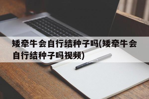 矮牵牛会自行结种子吗(矮牵牛会自行结种子吗视频)