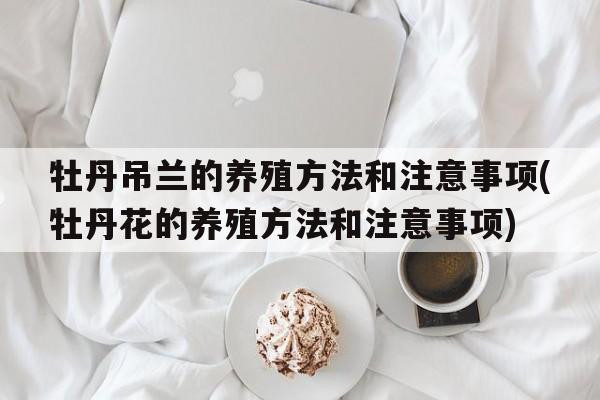 牡丹吊兰的养殖方法和注意事项(牡丹花的养殖方法和注意事项)