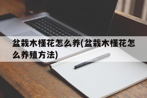 盆栽木槿花怎么养(盆栽木槿花怎么养殖方法)