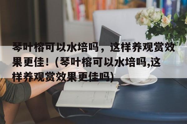 琴叶榕可以水培吗，这样养观赏效果更佳！(琴叶榕可以水培吗,这样养观赏效果更佳吗)