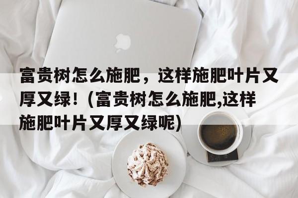 富贵树怎么施肥，这样施肥叶片又厚又绿！(富贵树怎么施肥,这样施肥叶片又厚又绿呢)