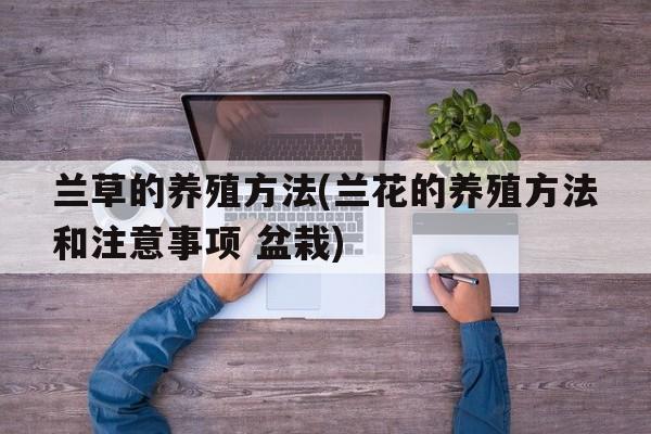 兰草的养殖方法(兰花的养殖方法和注意事项 盆栽)