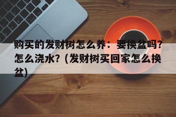 购买的发财树怎么养：要换盆吗？怎么浇水？(发财树买回家怎么换盆)