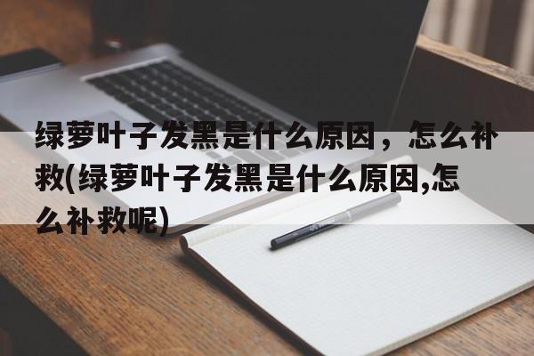 绿萝叶子发黑是什么原因，怎么补救(绿萝叶子发黑是什么原因,怎么补救呢)