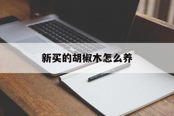 新买的胡椒木怎么养