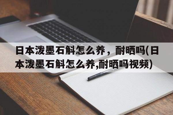 日本泼墨石斛怎么养，耐晒吗(日本泼墨石斛怎么养,耐晒吗视频)