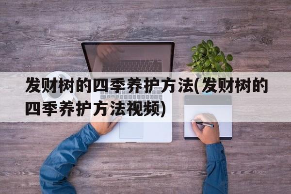 发财树的四季养护方法(发财树的四季养护方法视频)