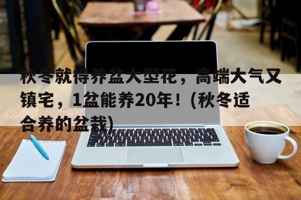 秋冬就得养盆大型花，高端大气又镇宅，1盆能养20年！(秋冬适合养的盆栽)