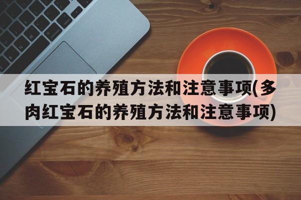 红宝石的养殖方法和注意事项(多肉红宝石的养殖方法和注意事项)