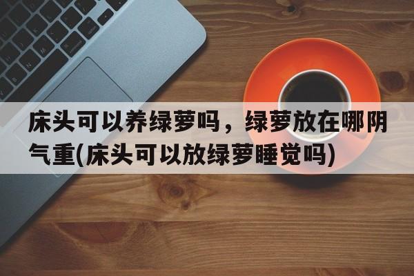 床头可以养绿萝吗，绿萝放在哪阴气重(床头可以放绿萝睡觉吗)