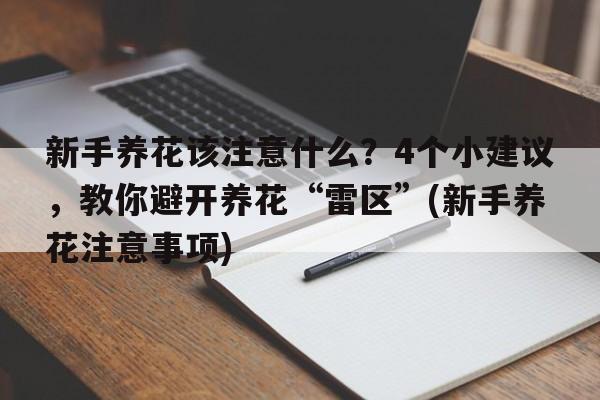 新手养花该注意什么？4个小建议，教你避开养花“雷区”(新手养花注意事项)