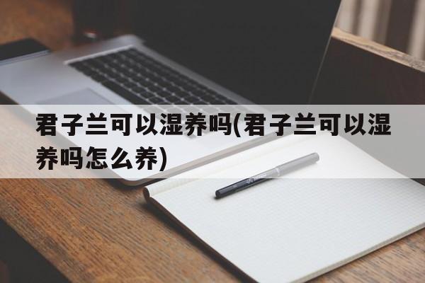 君子兰可以湿养吗(君子兰可以湿养吗怎么养)