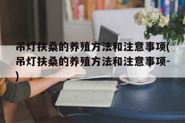 吊灯扶桑的养殖方法和注意事项(吊灯扶桑的养殖方法和注意事项-)