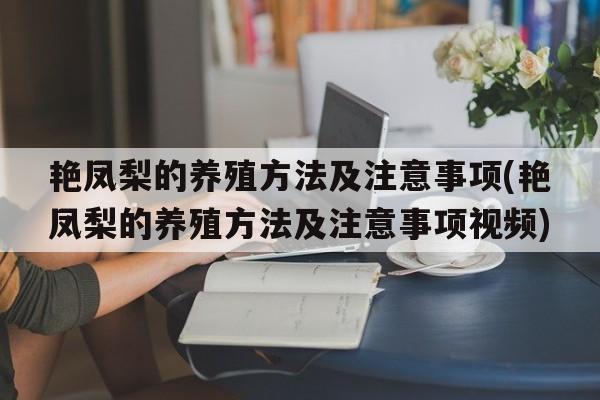 艳凤梨的养殖方法及注意事项(艳凤梨的养殖方法及注意事项视频)