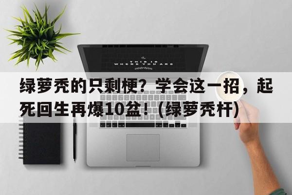 绿萝秃的只剩梗？学会这一招，起死回生再爆10盆！(绿萝秃杆)